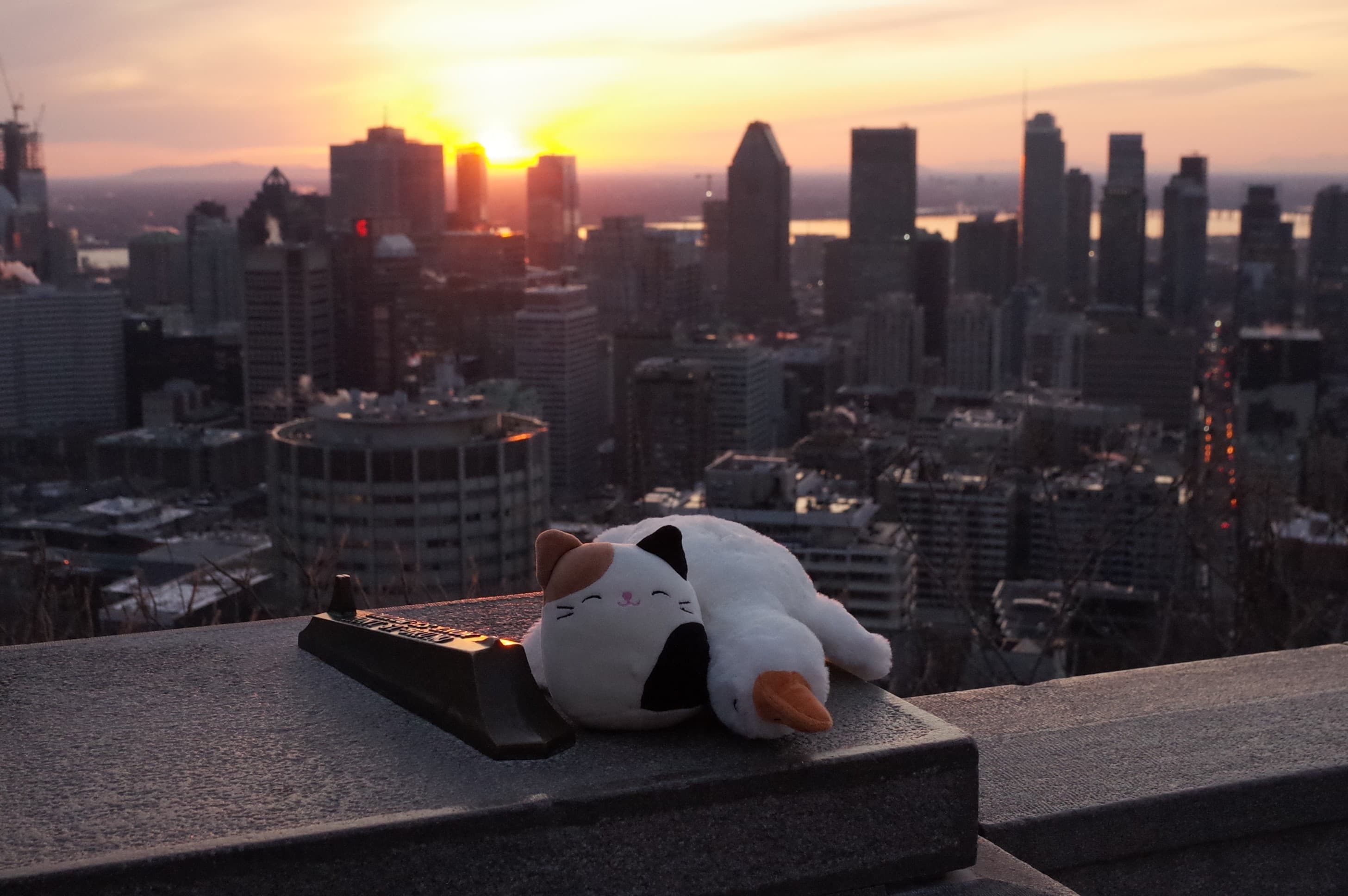 A city sunrise
