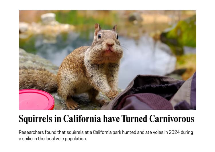 Perception of News Headlines